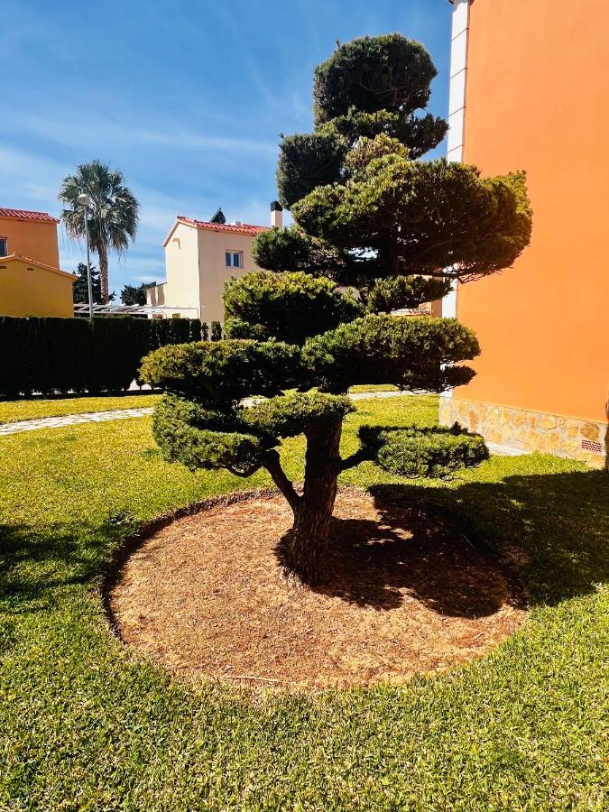 Oliva Nova Beach & Golf Resort Club Sevilla VI Dış mekan fotoğraf